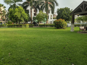 new town park ai block