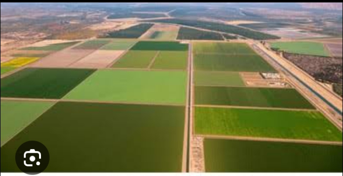 WhatsApp Image 2025 08 28 at 2.33.51 PM