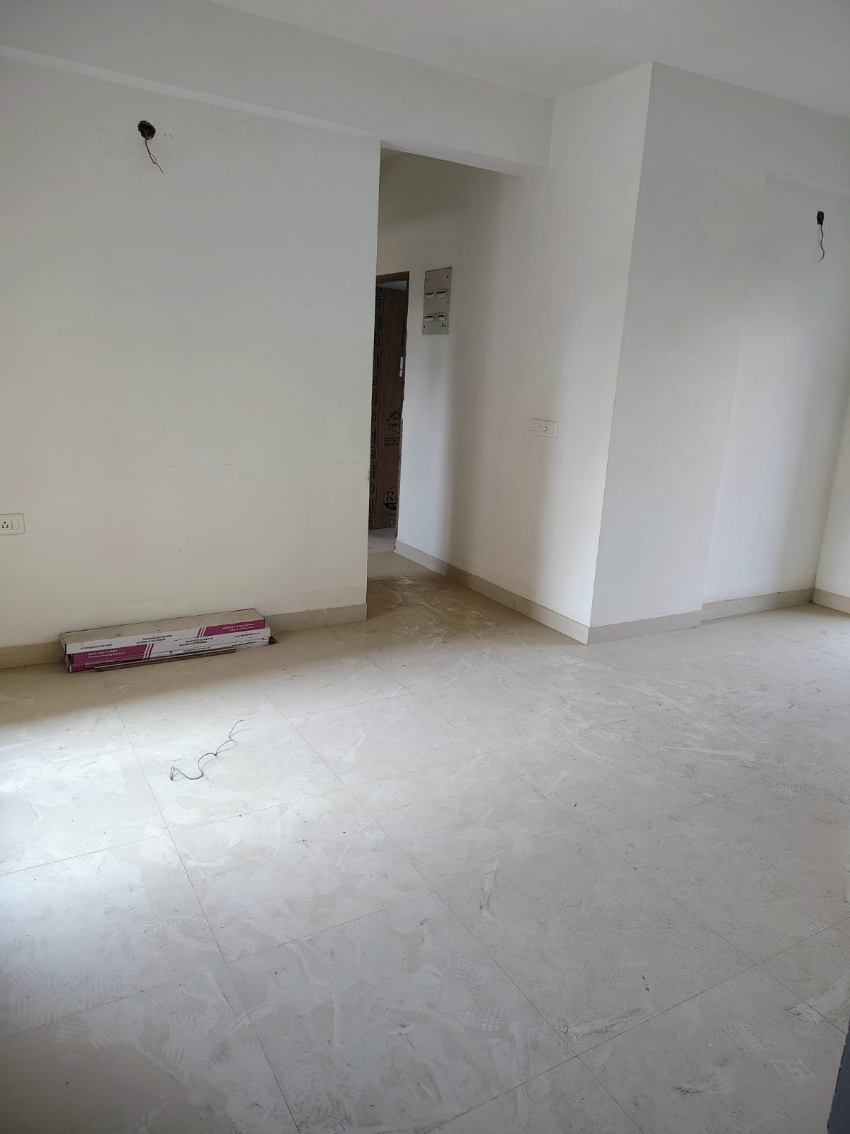 WhatsApp Image 2026-02-12 at 15.26.01