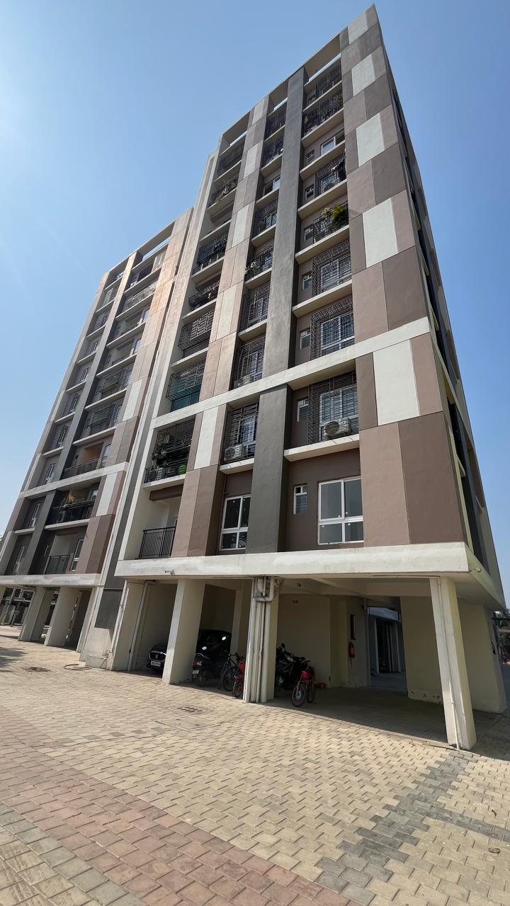 WhatsApp Image 2026-02-12 at 15.44.43 (2)